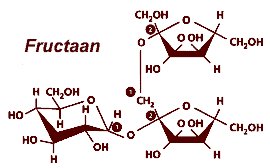 Fructaanindex