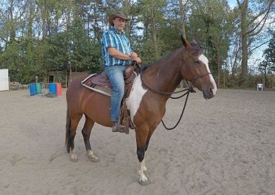 Ivo Bols Westernriding & Horsemanship Bitloos Ijzerloos Stalloos paarden paardenkamp paardrijden paddock retreat rijles paardrijles west malle bitloos zonder bit groeigroep vertrouwen zelfvertrouwen vertrouwen non violant communication geweldloze communicatie e-learning online training coaching dagclinic angst leiderschap priveles groepsles jongeren volwassenen gezinnen gezin workshop buddy verzorger vrijwilliger