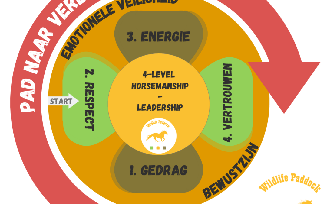4-Level-Horsemanship / leadership