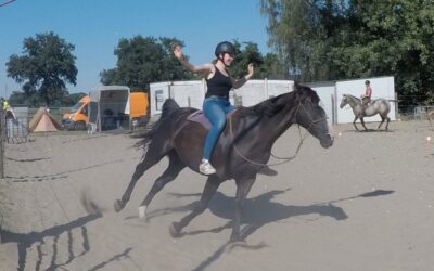 Het spanningsveld tussen veiligheid en vrijheid