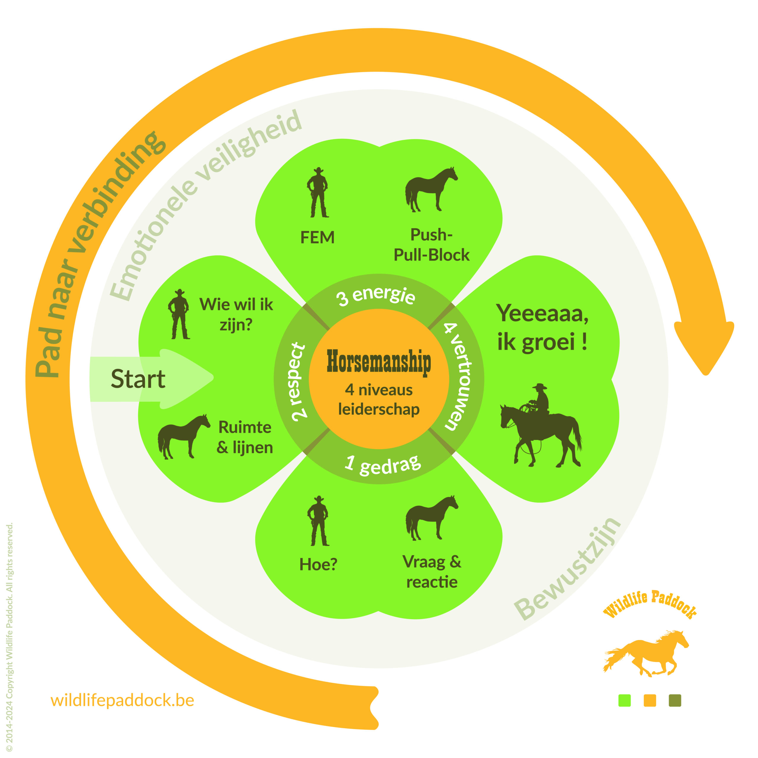 Ivo Bols Westernriding & Horsemanship Bitloos Ijzerloos Stalloos paarden paardenkamp paardrijden paddock retreat rijles paardrijles west malle bitloos zonder bit groeigroep vertrouwen zelfvertrouwen vertrouwen non violant communication geweldloze communicatie e-learning online training coaching dagclinic angst leiderschap priveles groepsles jongeren volwassenen gezinnen gezin workshop buddy verzorger vrijwilliger