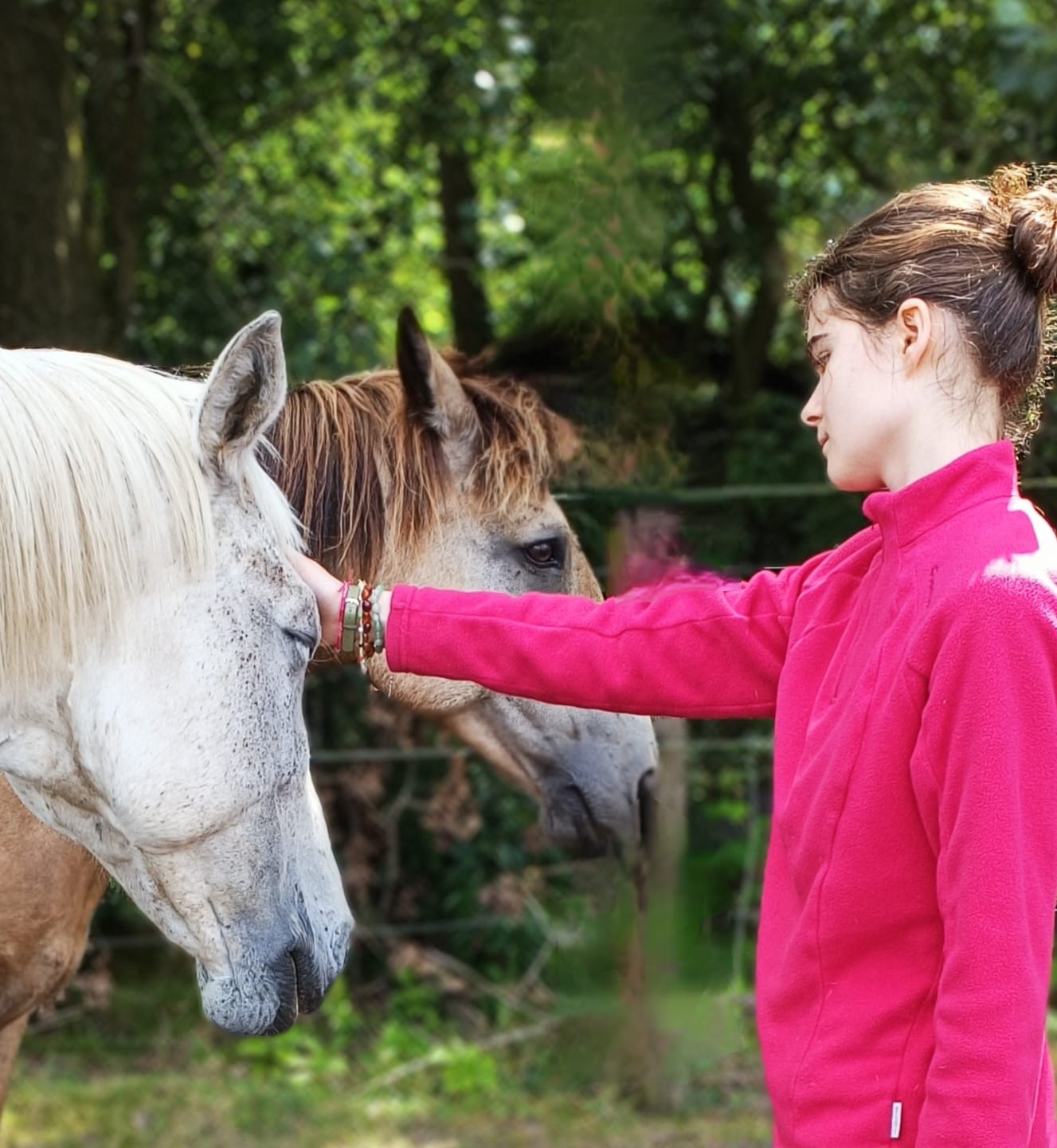 Paardentaal-kaartenset