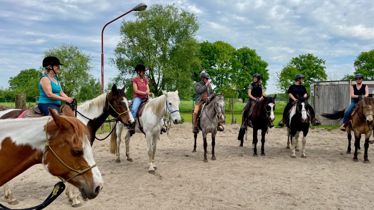 Wildlife Paddock - Western riding & Horsemanship