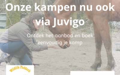 Nieuwe samenwerking: Wildlife Paddock & Juvigo